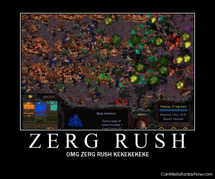 zerg rush right now