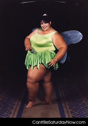 Fairy Fat 38