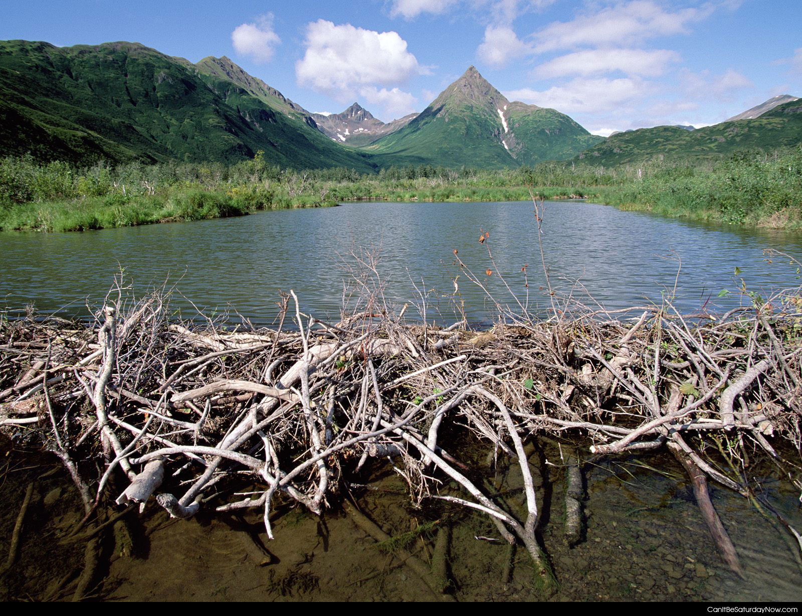 can-it-be-saturday-now-beaver-dam