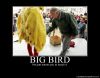 Big bird touch