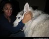 Wolf bite