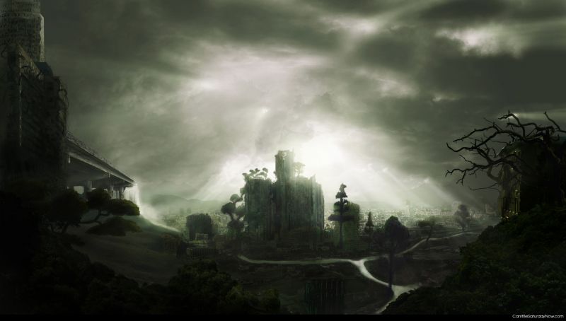 Misty landscape