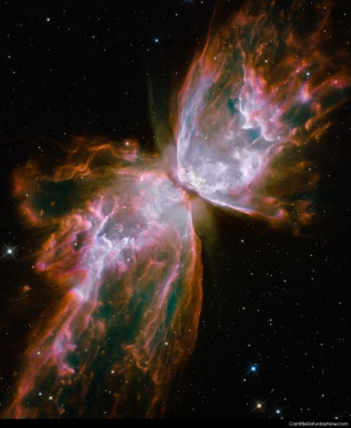 NASA potd 3 butterfly hst big