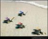 Tmnst