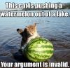 Cat pushing a watermelon