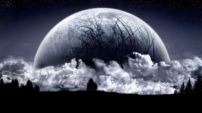 Odd Moon