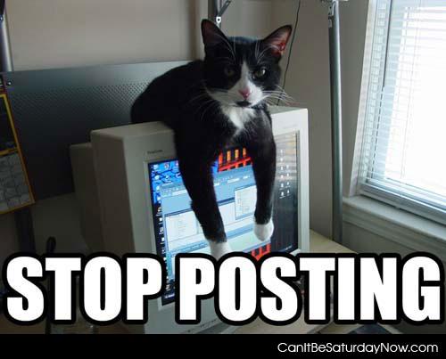 Stop posting face - this cat wants you to stop posting