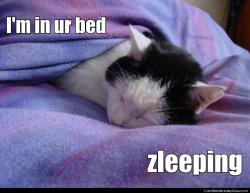Your bed zleeping