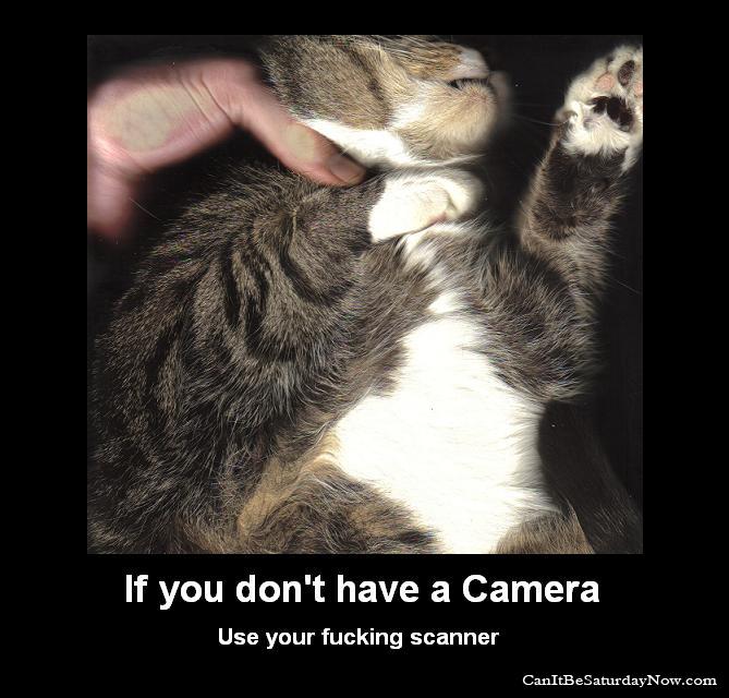 Scan cat - No camera no problem use your scanner