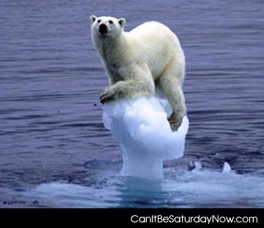 Mletign caps - stupid polar bear get off that melting ice cap
