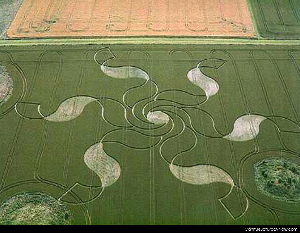 Crop Flower - Crop circle that looks more like a flower