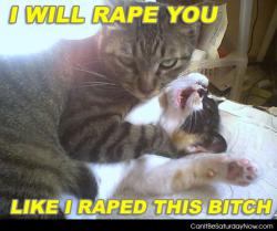 Cat rape