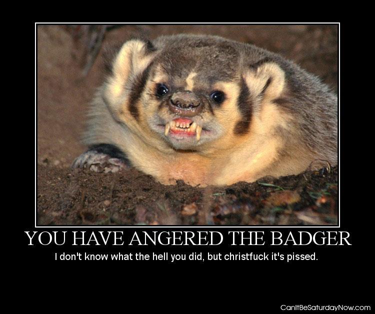 Angered badger - snake snake snake!