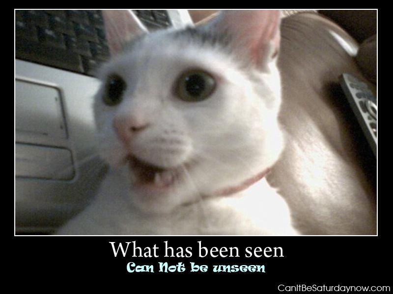What has been seen cat - cant not be unseen