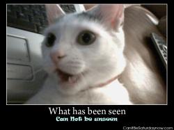 What has been seen cat