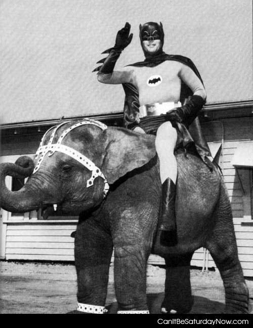 Batman circus - One day batman went back to the circus with robin.