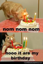 Kitty birthday