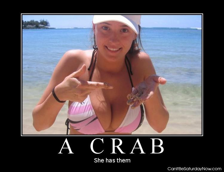 Has a crab - no no no she only has one its ok