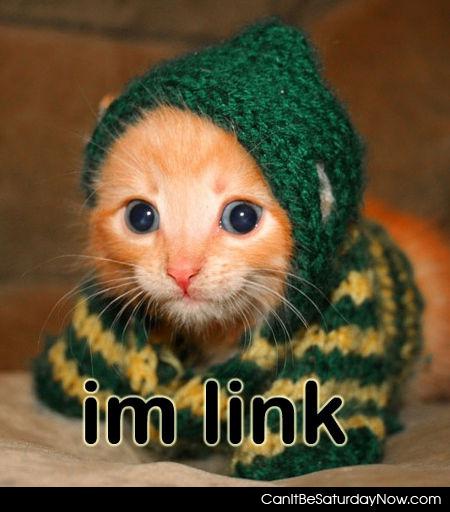 Link kitty - link is a kitty