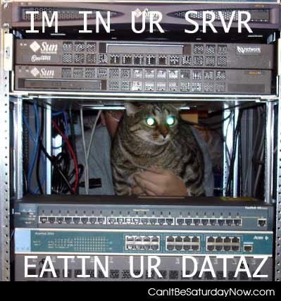 Data cat - eating your data