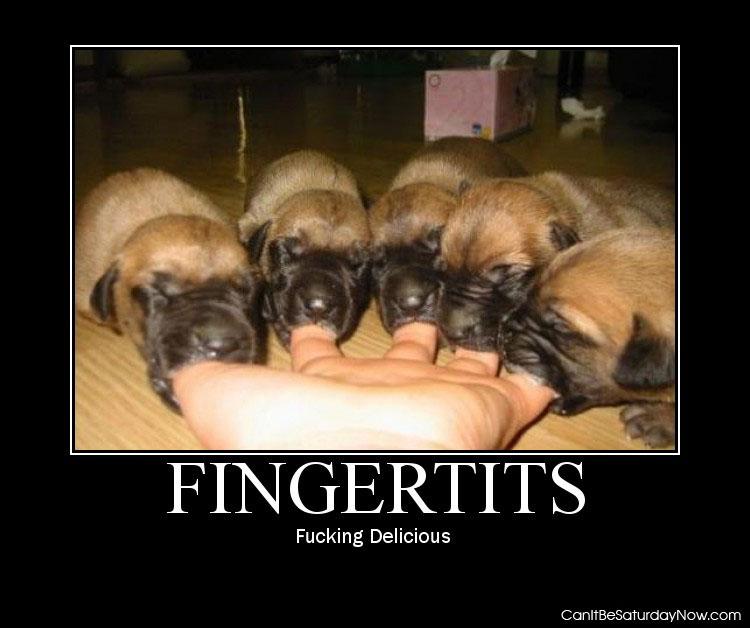Fingertits - dogs cant tell the difference