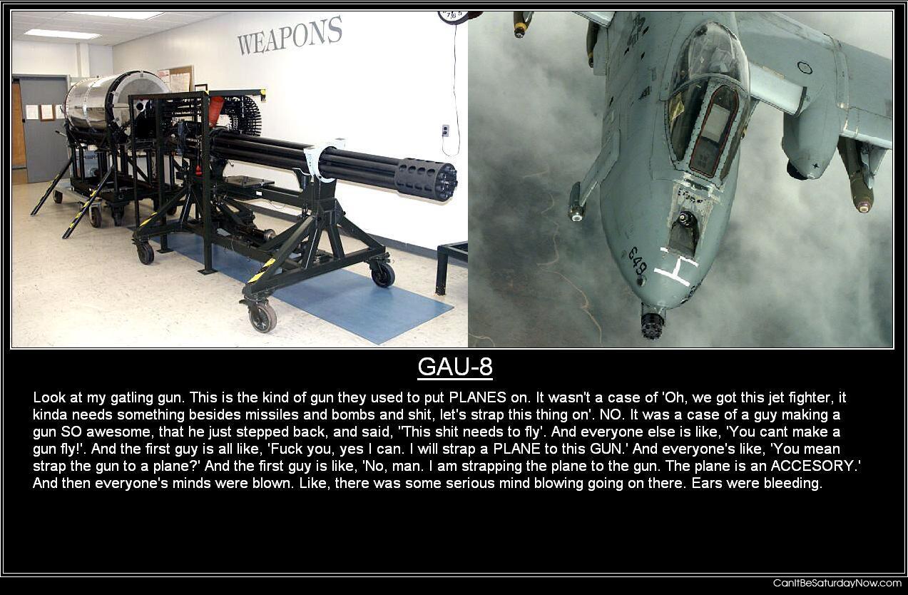 gau-8 - Plane for a gun.