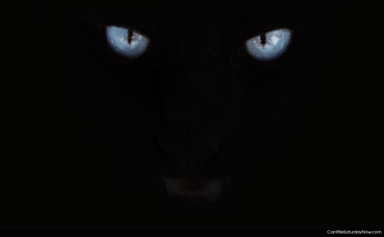 Black panther eyes - black panther eyes are a bit scary
