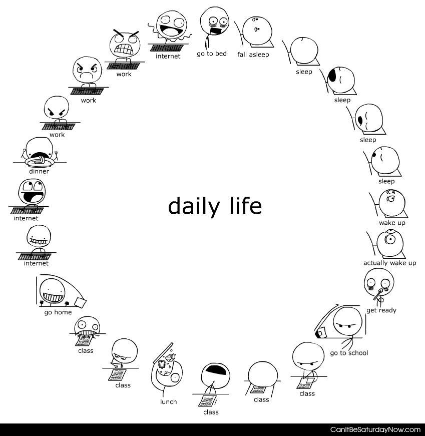 Daily Life - the daily life circle