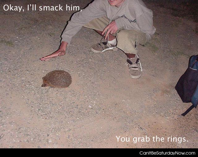 Grab the rings - I'll smack it you grab the rings