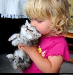 Kitty kiss
