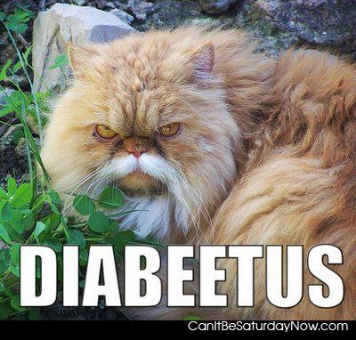 Diabetes - let me talk to you about your diabetes
