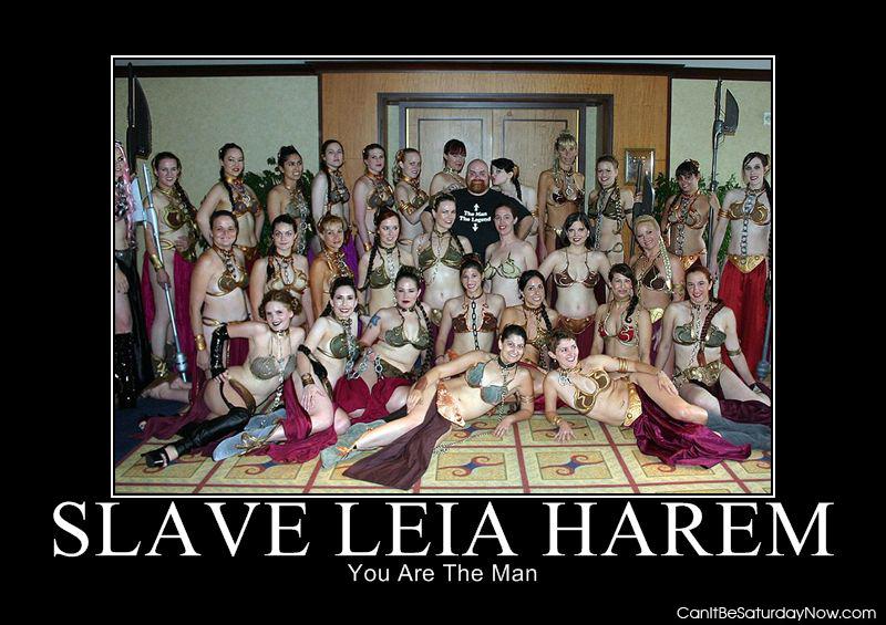 Leia Harem - this dude rocks