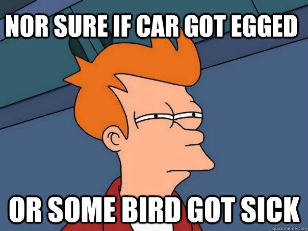 Car got egged - not sure if car got egged, or some bird got sick