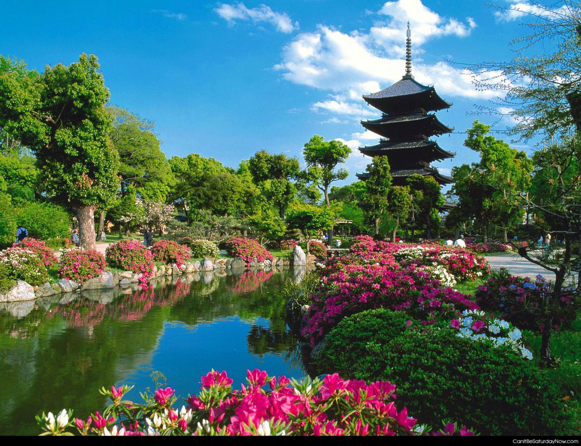 Flower park - Asian themed flower park