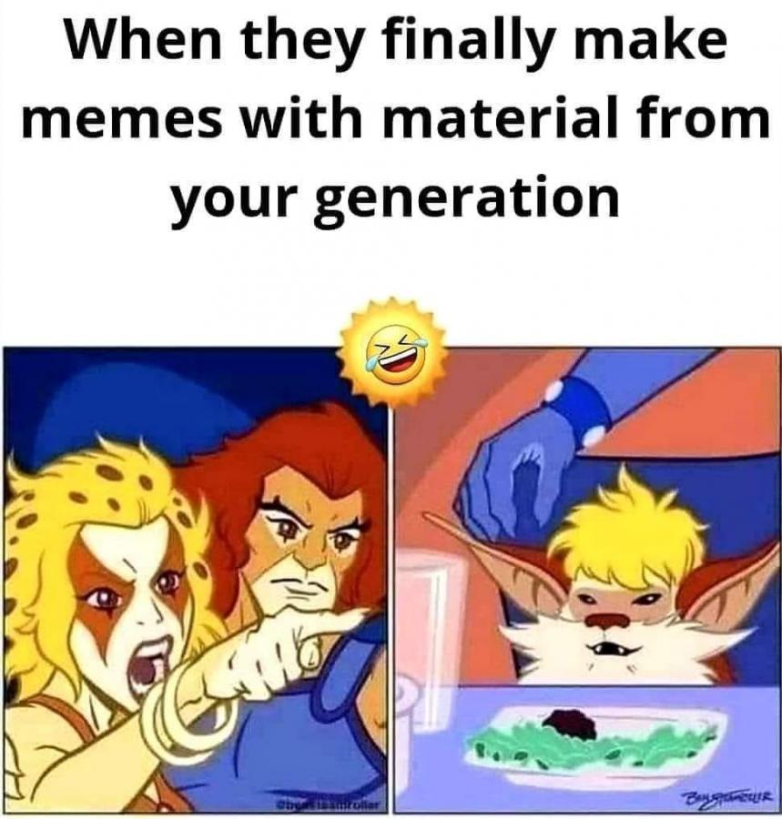 cat memes - I get this