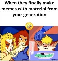cat memes