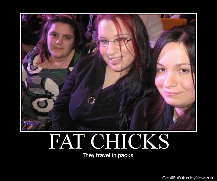 Fat chicks 2 - they travel in packs