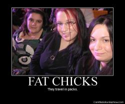 Fat chicks 2
