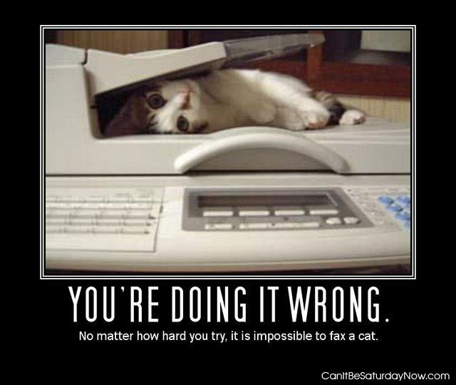 Fax a cat - it can not be done