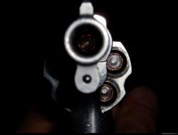 Gun