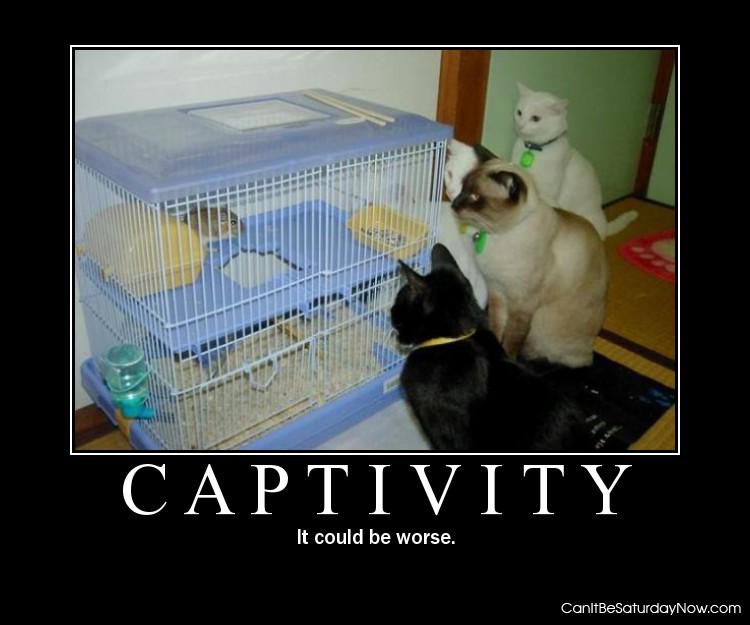 Captivity - better then being eaten right