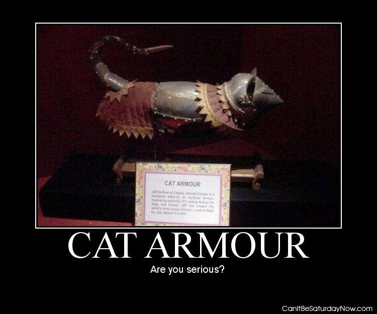 Cat Armour - Protect the cat