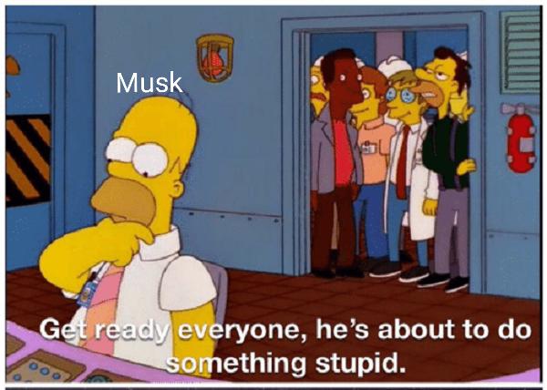 stupid musk - will do something stupid
