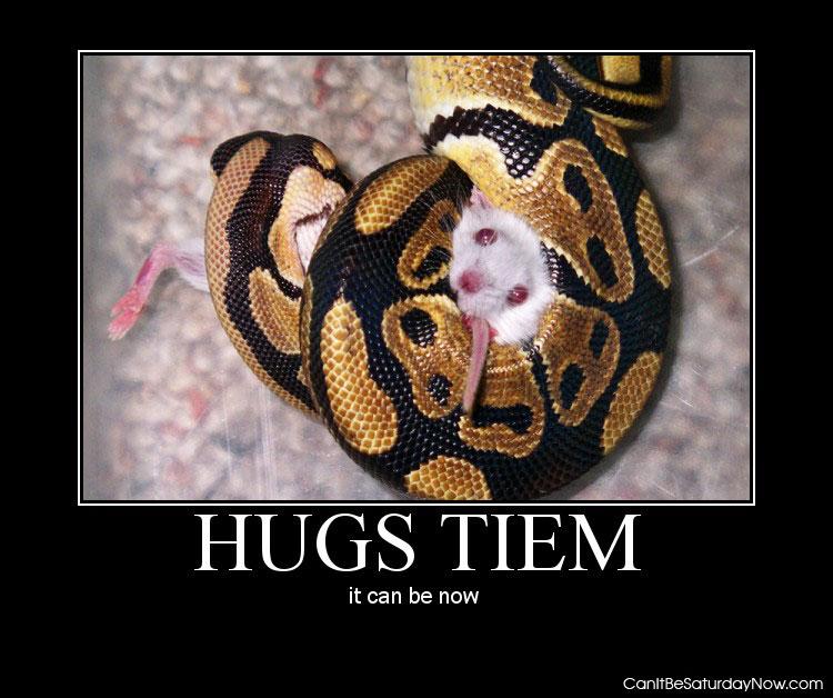 Snake hug - snakes give the best hugs