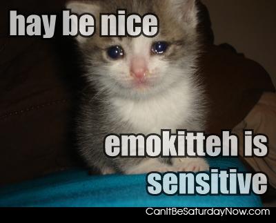 Emo kitty - emo kitty is sensitive