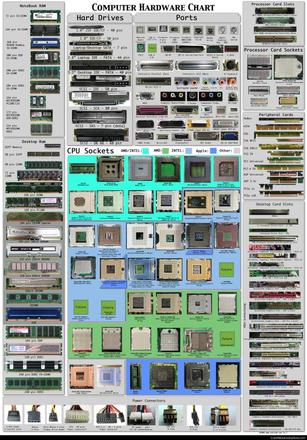 Hardware chart - computer hardware chart