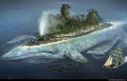 Whale island