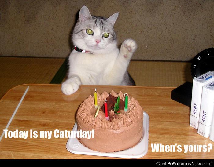 My caturday - Today is mine when is yours?