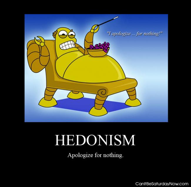 Hedonism sorry - sorry for nothing