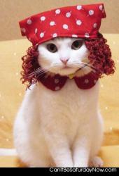 Raggedy ann kitty